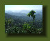 hordee-plantation004003.jpg